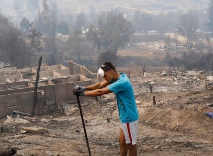 Costo social de los mega incendios en el sur: 11% de las familias rurales perdieron su modo de sustento