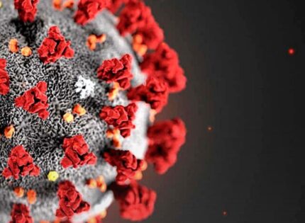 COVID-19: El 51 % Sospecha De Daño Cardíaco Por La Vacuna