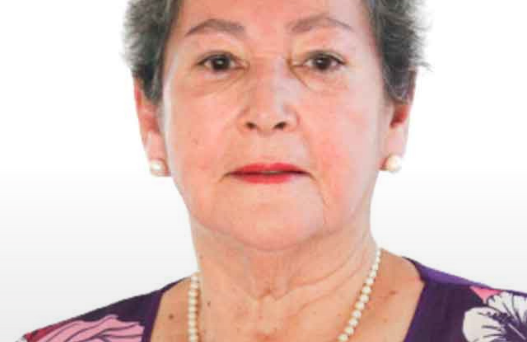 Concejala de Villa Alegre, María González Torres, desaparece tras salir a ayudar en medio de fuerte temporal