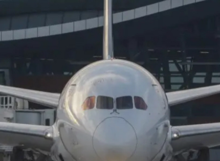 Aterrizará en Santiago tercer vuelo con chilenos expulsados desde Estados Unidos