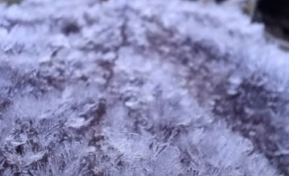 Heladas extremas en La Araucanía: Temperaturas alcanzan los -14.5°C