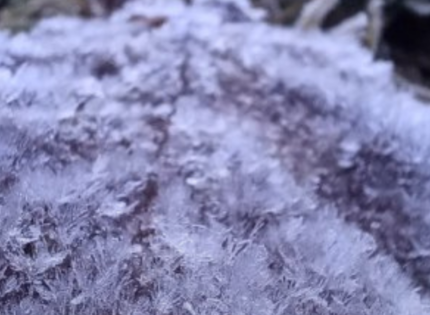 Heladas extremas en La Araucanía: Temperaturas alcanzan los -14.5°C