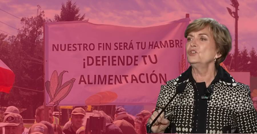 Con gritos de la candidata: la conflictiva reunión de Matthei con agricultores en Temuco