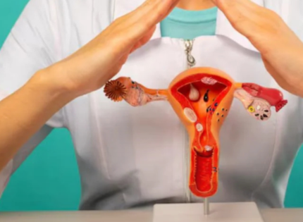 MicroARNs contra el cáncer: Hallazgo chileno reduce la agresividad del tumor de ovario