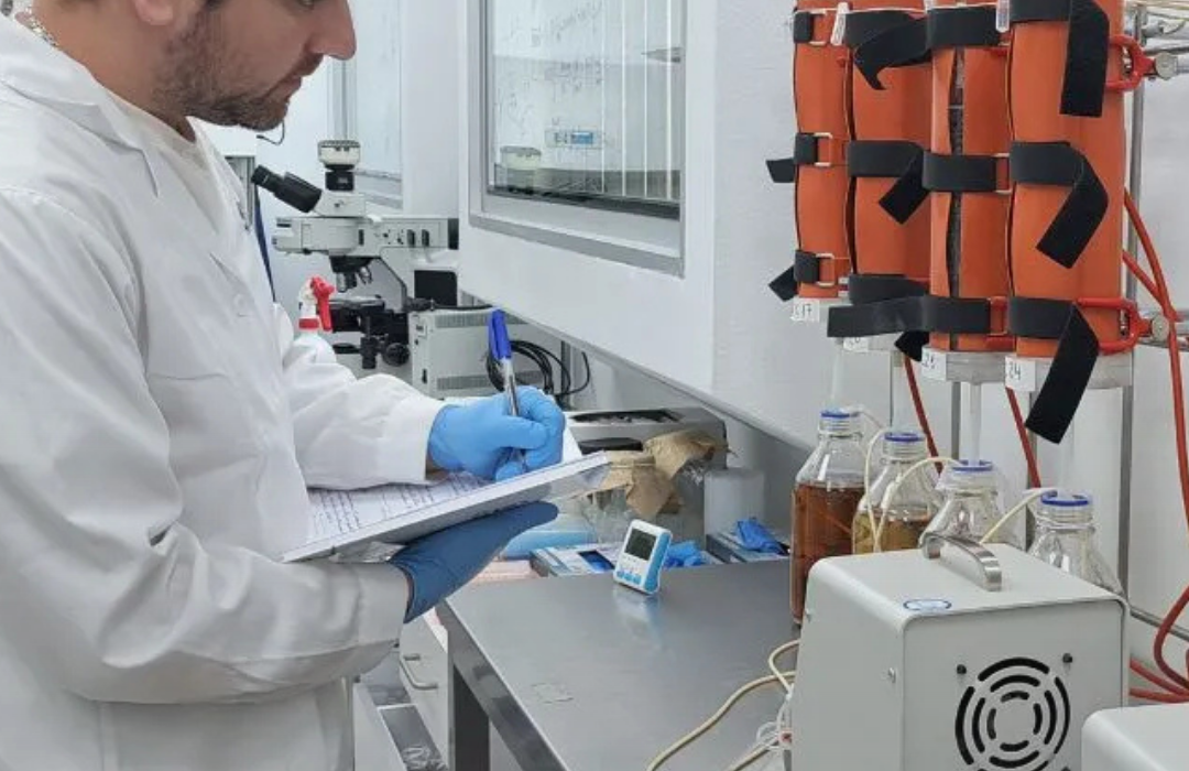 Chile patenta microorganismos que extraen cobalto de relaves mineros y busca convertirse en segundo productor mundial del metal