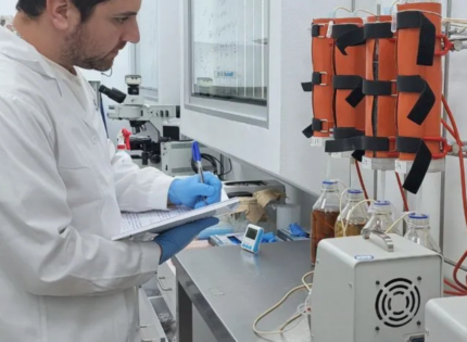 Chile patenta microorganismos que extraen cobalto de relaves mineros y busca convertirse en segundo productor mundial del metal