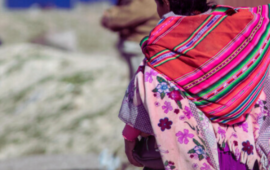 Violación en la frontera: cómo monitor con «acceso privilegiado» agredió sexualmente a migrante