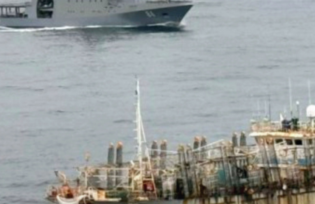 Armada reporta aumento de flotas extranjeras en límite de Chile: más usuales son de Ecuador y Panamá