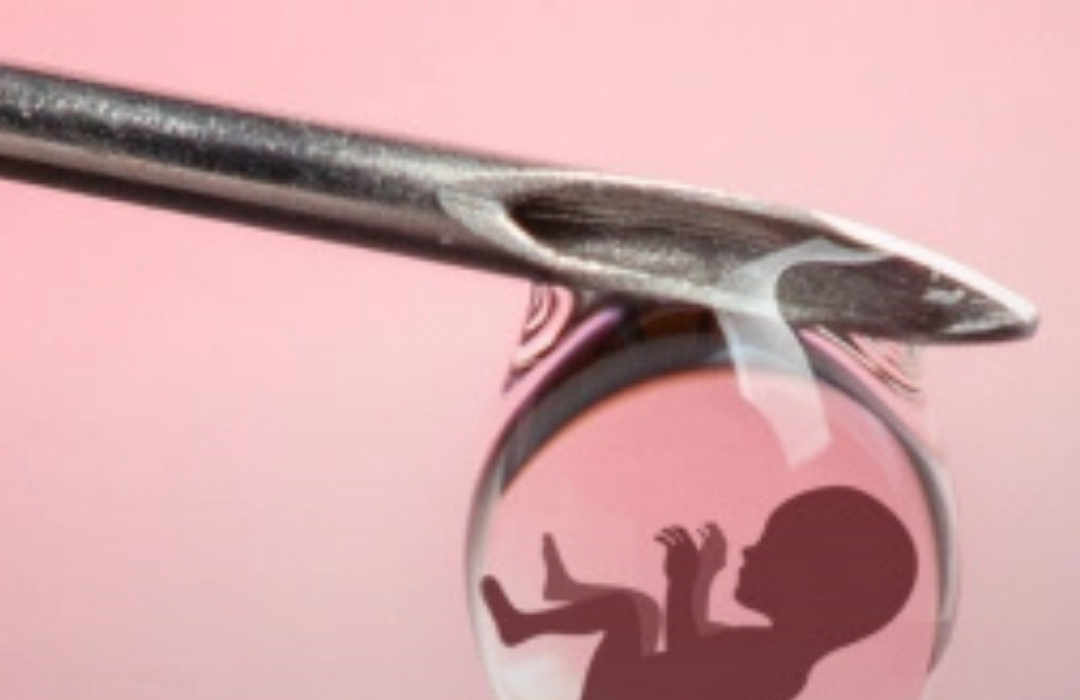 FIV vs. aborto: ¿qué proceso destruye más vidas?