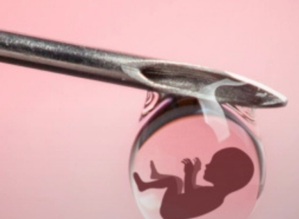 FIV vs. aborto: ¿qué proceso destruye más vidas?