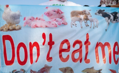 El veganismo pierde el 75% de sus seguidores en Países Bajos en sólo dos años: «Carecemos de nutrientes vitales»