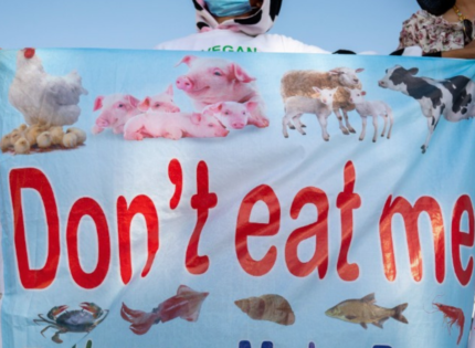 El veganismo pierde el 75% de sus seguidores en Países Bajos en sólo dos años: «Carecemos de nutrientes vitales»