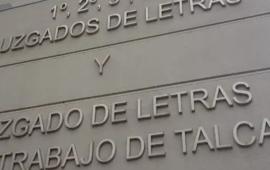 Fue despedido de palabra tras acusación de robo de leña y fue a juicio: Ahora deberán pagarle casi $8 millones