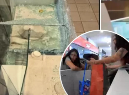 «Quedamos quebrados»: tienda robada durante evacuación anuncia cierre de stand en Mall Plaza Norte