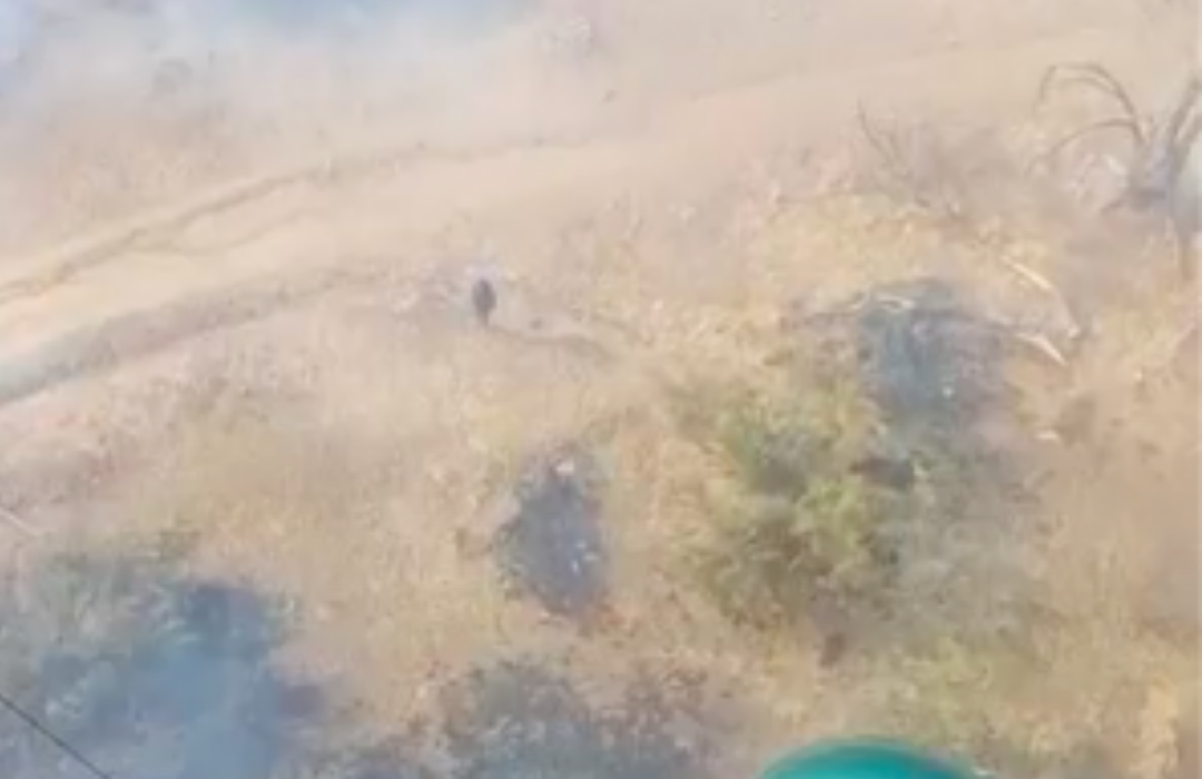 Rescate aéreo en San Carlos de Apoquindo: Carabineros salvan a mujer atrapada entre las llamas