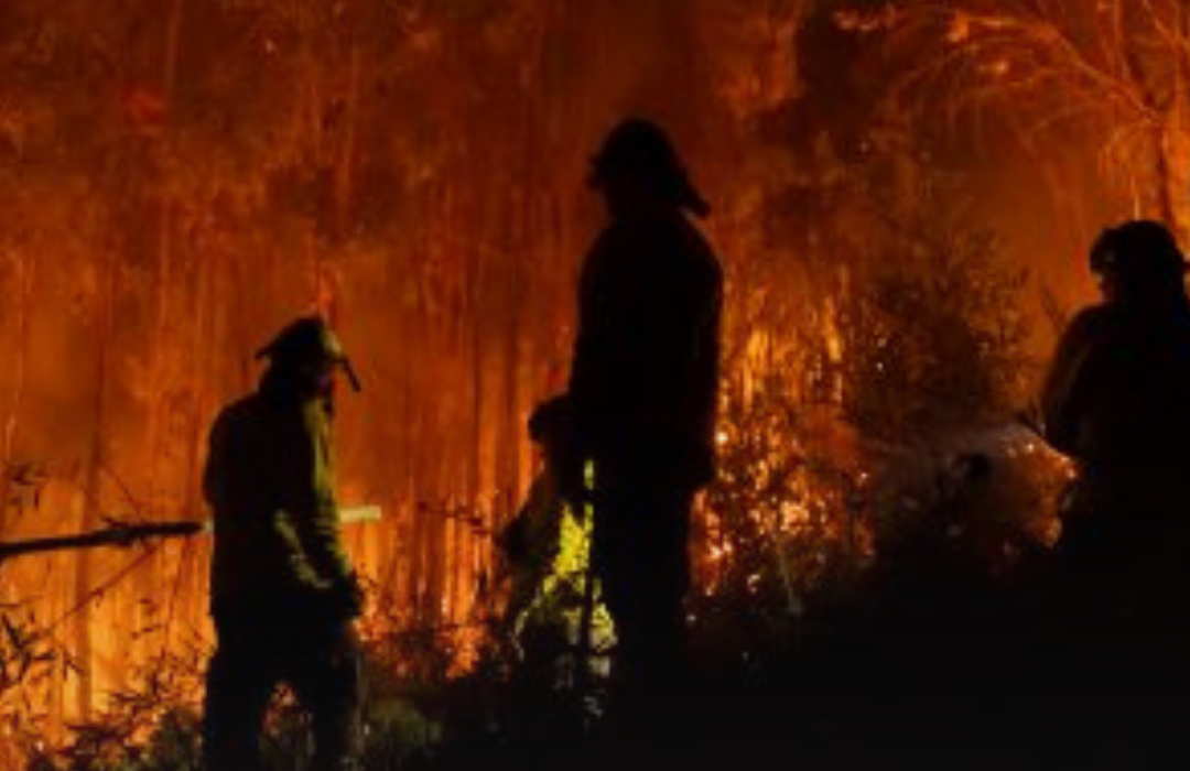 PDI detuvo a sospechoso de iniciar el megaincendio forestal de Concepción
