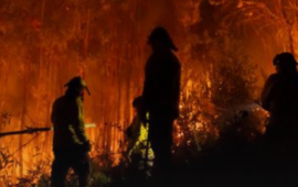 PDI detuvo a sospechoso de iniciar el megaincendio forestal de Concepción