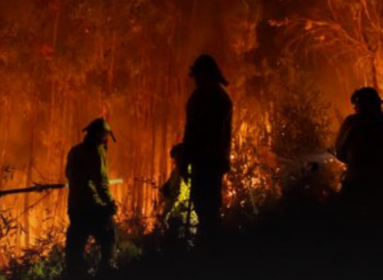 PDI detuvo a sospechoso de iniciar el megaincendio forestal de Concepción