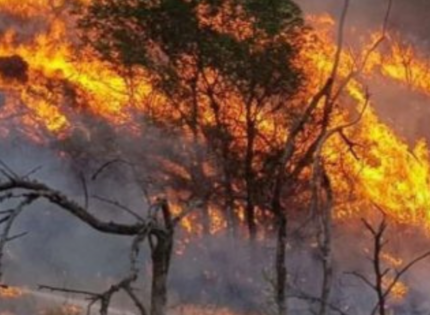Chile envía dos aeronaves a Argentina para ayudar a combatir incendios forestales en la Patagonia