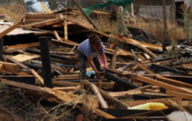 Desalojo en megatoma de San Antonio avanza con 40,6 hectáreas restituidas y 370 viviendas demolidas