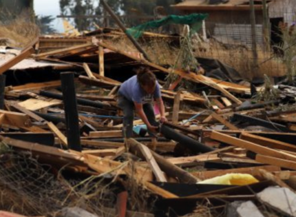 Desalojo en megatoma de San Antonio avanza con 40,6 hectáreas restituidas y 370 viviendas demolidas