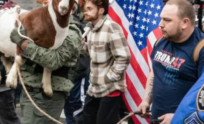 Detectan explosivos en objetos lanzados contra la residencia del alcalde de Nueva York