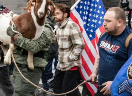 Detectan explosivos en objetos lanzados contra la residencia del alcalde de Nueva York