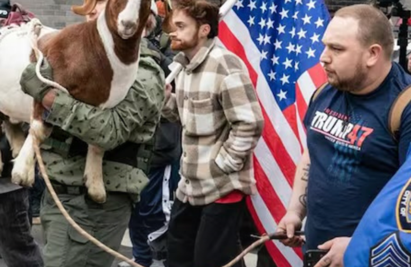 Detectan explosivos en objetos lanzados contra la residencia del alcalde de Nueva York