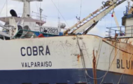 Formalización en caso Bruma: querellantes apuestan por probar homicidio y defensa va por absolución