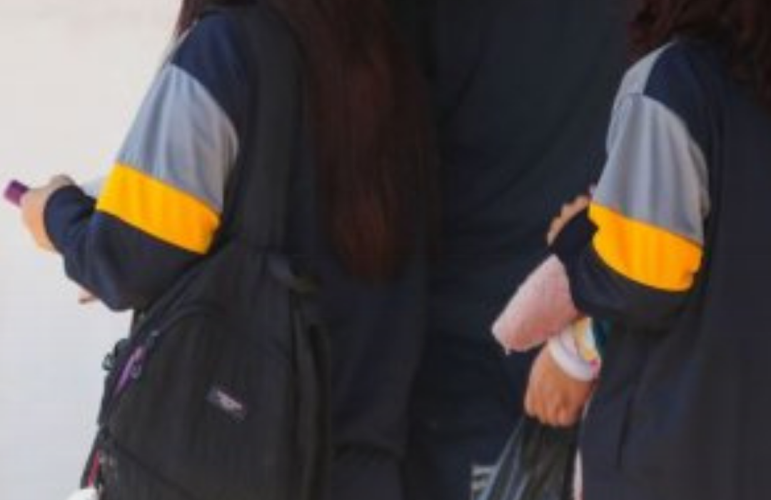 Detienen a alumno por amenaza de tiroteo en instituto de Valdivia