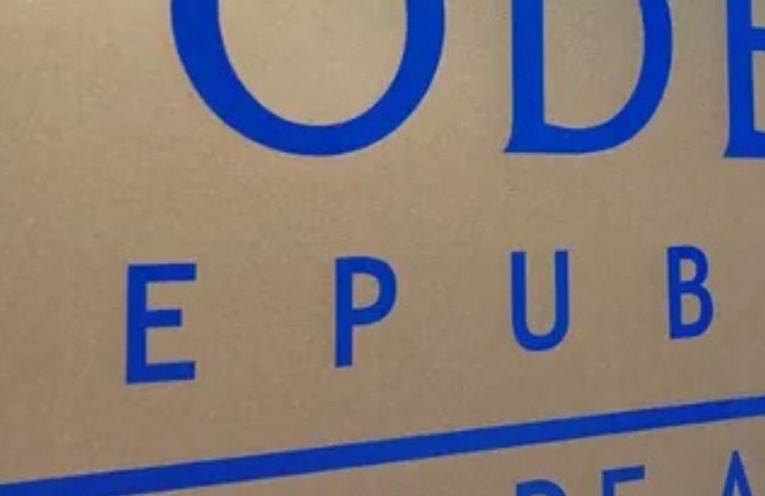 Vecinos denuciaron a municipalidad por contenedores desbordados, malos olores y focos de insalubridad: Corte ordena medidas