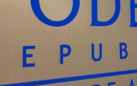 Vecinos denuciaron a municipalidad por contenedores desbordados, malos olores y focos de insalubridad: Corte ordena medidas