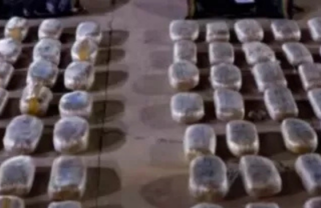 Militares decomisan 268 kilos de marihuana en la frontera de Chile y Bolivia