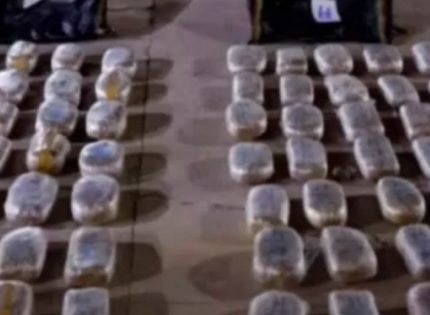 Militares decomisan 268 kilos de marihuana en la frontera de Chile y Bolivia