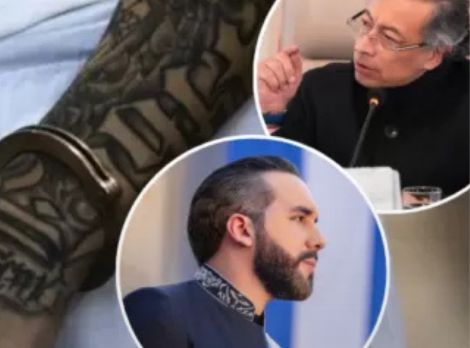 Tras crítica de Petro sobre «campos de concentración» Bukele le ofrece todos los presos de El Salvador