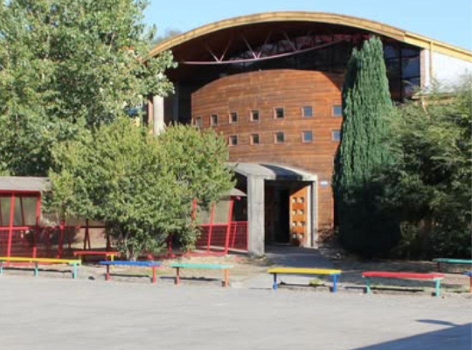 Violencia escolar: las cautelares con las que quedó la alumna que amenazó con tiroteo en colegio de Villarrica