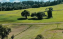 Venta de loteos agrícolas para viviendas: El fallo de la Corte Suprema que detuvo proyecto en Los Lagos