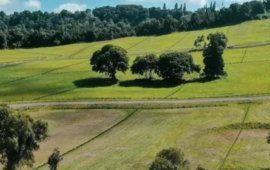 Venta de loteos agrícolas para viviendas: El fallo de la Corte Suprema que detuvo proyecto en Los Lagos