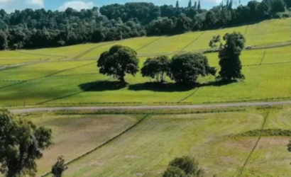 Venta de loteos agrícolas para viviendas: El fallo de la Corte Suprema que detuvo proyecto en Los Lagos