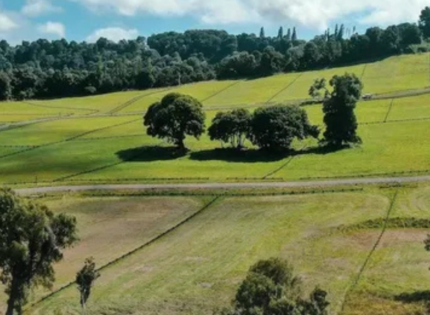 Venta de loteos agrícolas para viviendas: El fallo de la Corte Suprema que detuvo proyecto en Los Lagos