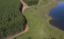 Arauco analiza vender bosques en Chile para ayudar a financiar su megaproyecto de celulosa en Brasil