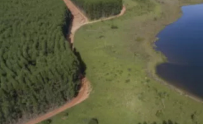 Arauco analiza vender bosques en Chile para ayudar a financiar su megaproyecto de celulosa en Brasil