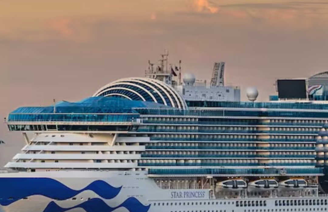 Qué es el norovirus, el brote que enfermó a 115 personas en un crucero