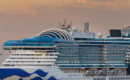 Qué es el norovirus, el brote que enfermó a 115 personas en un crucero