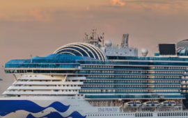 Qué es el norovirus, el brote que enfermó a 115 personas en un crucero