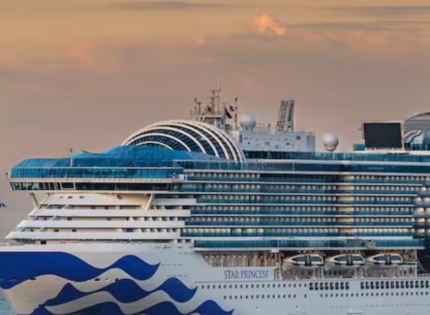 Qué es el norovirus, el brote que enfermó a 115 personas en un crucero