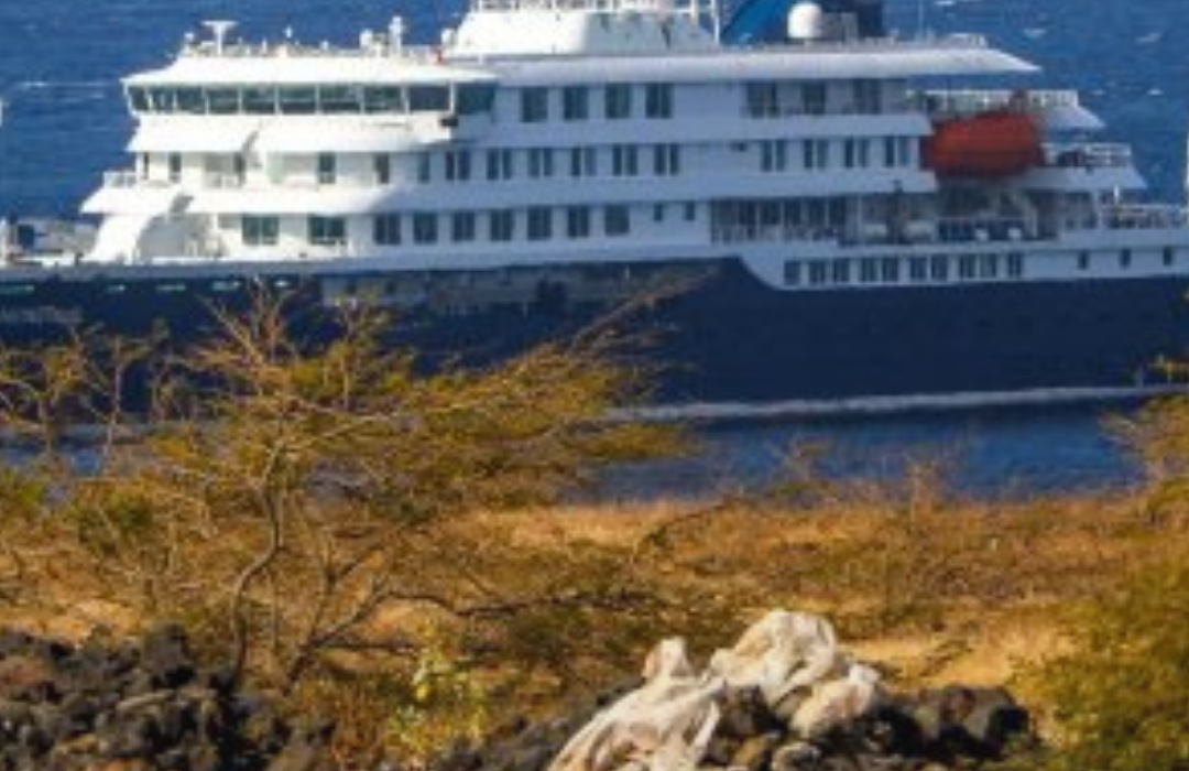 Primeros infectados por hantavirus estuvieron más de 20 días en Chile antes de tomar el crucero