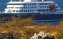 Primeros infectados por hantavirus estuvieron más de 20 días en Chile antes de tomar el crucero