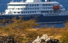 Primeros infectados por hantavirus estuvieron más de 20 días en Chile antes de tomar el crucero