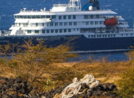 Primeros infectados por hantavirus estuvieron más de 20 días en Chile antes de tomar el crucero